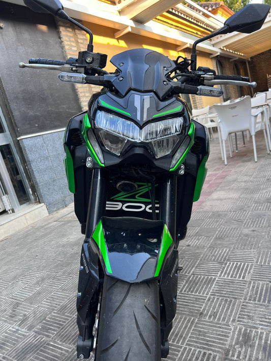 Accesorios z900: Parrilla 3D ranurada SC verde / blanco