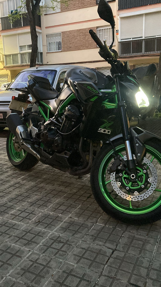 Accesorios z900: Parrilla 3D ranurada Z900 recto Verde